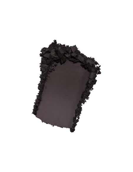 Artist Eyeshadow #100