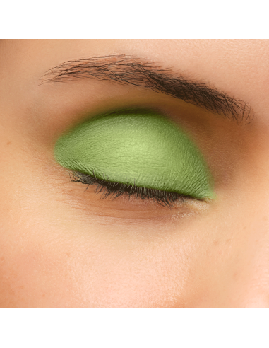 Artist Eyeshadow #350