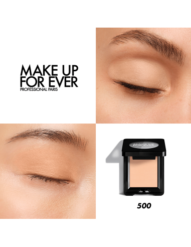 Artist Eyeshadow #500