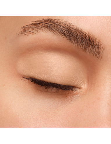 Artist Eyeshadow #500
