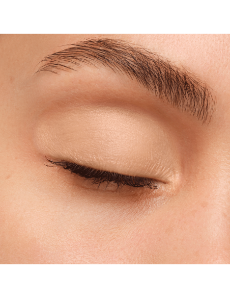 Artist Eyeshadow #500