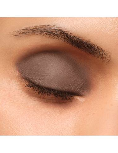 Artist Eyeshadow #506
