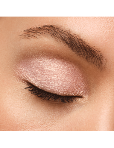 Artist Eyeshadow #520