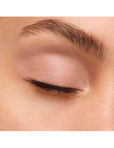Artist Eyeshadow #530