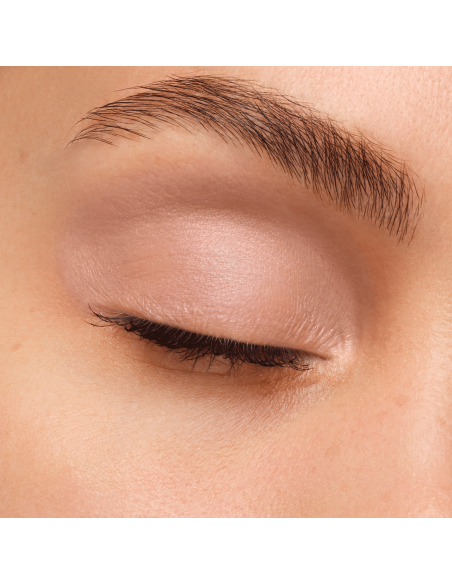 Artist Eyeshadow #530