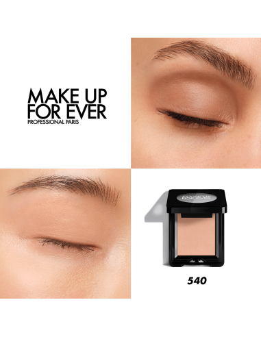 Artist Eyeshadow #540