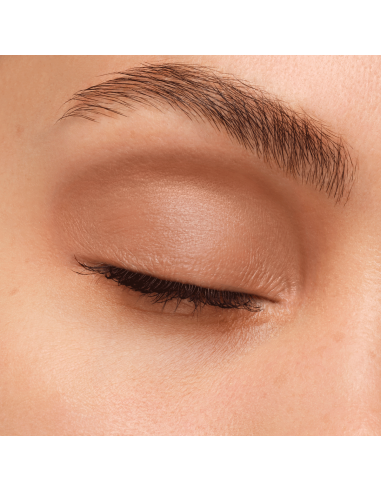Artist Eyeshadow #540