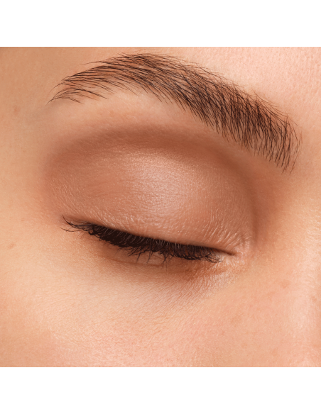 Artist Eyeshadow #540