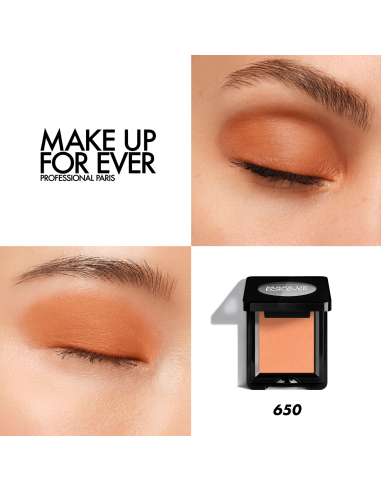 Artist Eyeshadow #650