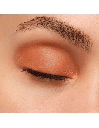 Artist Eyeshadow #650