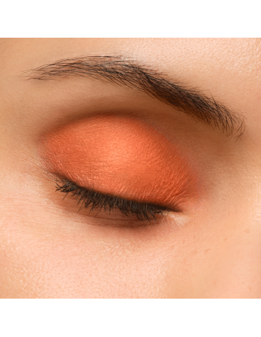 Artist Eyeshadow #720