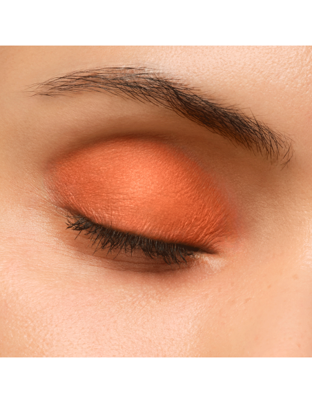Artist Eyeshadow #720