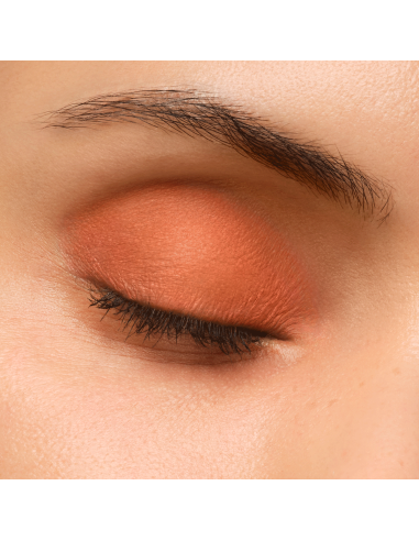Artist Eyeshadow #725