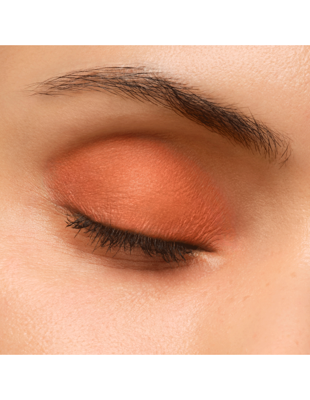 Artist Eyeshadow #725