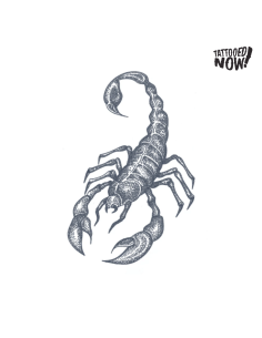 tattooed-now-dotwork-scorpion