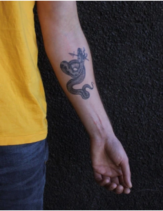 tattooed-now-snake-by-ramon-maiden 2