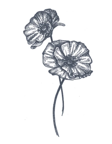 Tattooed Now! - Dotwork Poppy Flower