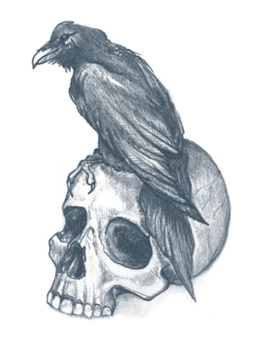 tattooed-now-raven-with-skull