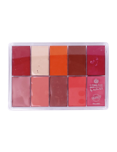 MAQPRO Palette Blush Creme