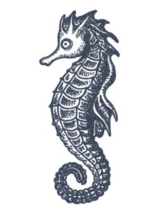 Tattooed Now! Dotwork Seahorse Tattoo