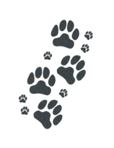Tattooed Now! - Dog Paws 2