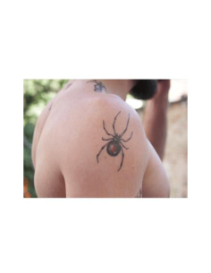 Tattooed Now! Black Widows Tattoo 2
