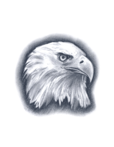 Tattooed Now! Eagle Tattoo