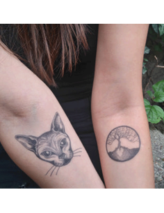 Tattooed Now! Sphynx Cat Tattoo 2